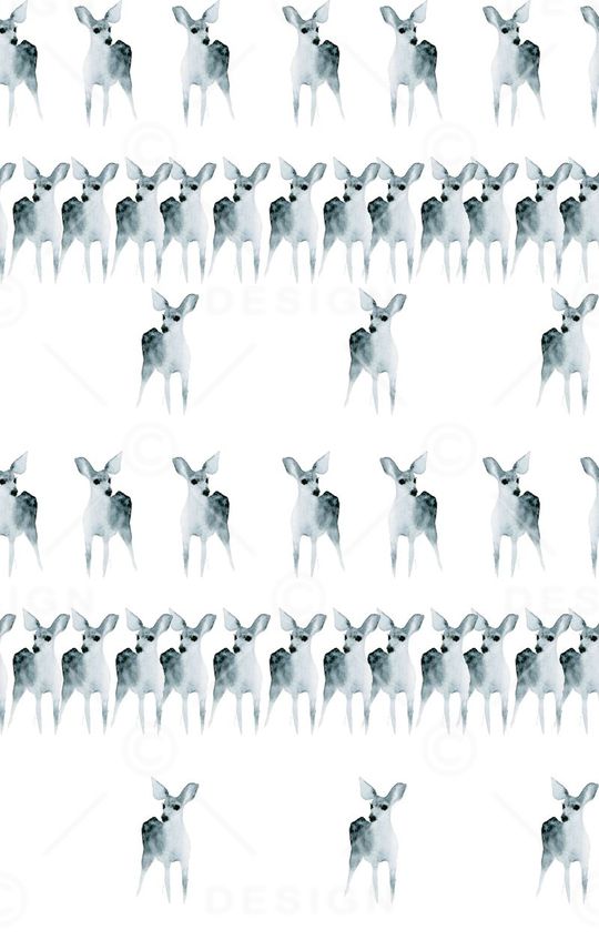 动物印花华亿平台图片