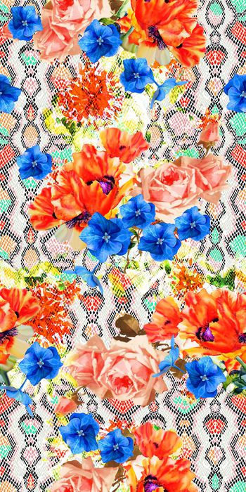 443681-抽象纹  水彩画 花卉  数码  