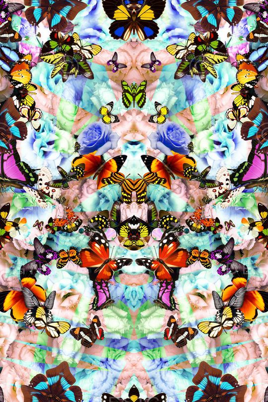 花印花华亿平台图片