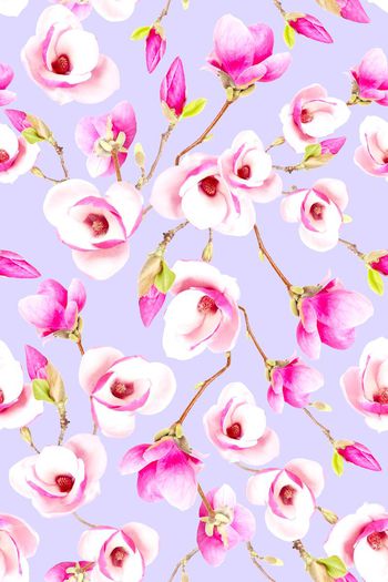 443791-漂亮清新花卉-木兰