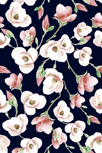 443792-漂亮清新花卉-木兰