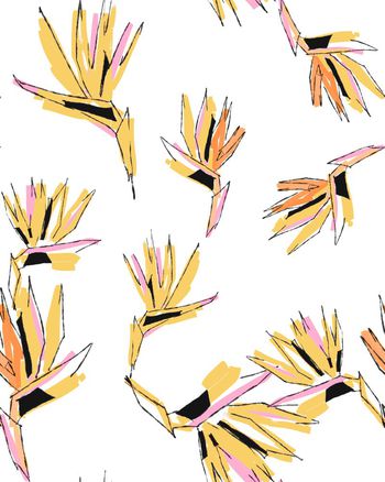 443836-时尚纯电脑手绘抽象天堂鸟花卉印花