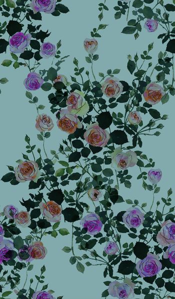 443901-手绘玫瑰花定位组合