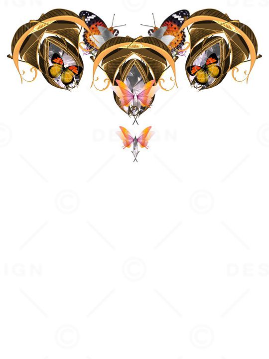 蝴蝶印花华亿平台图片