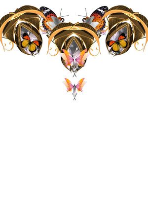 蝴蝶印花华亿平台图片