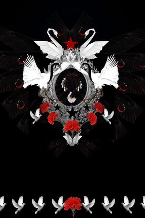 潮流印花华亿平台图片