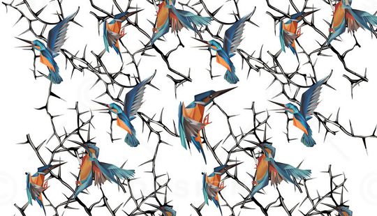 鸟印花华亿平台图片