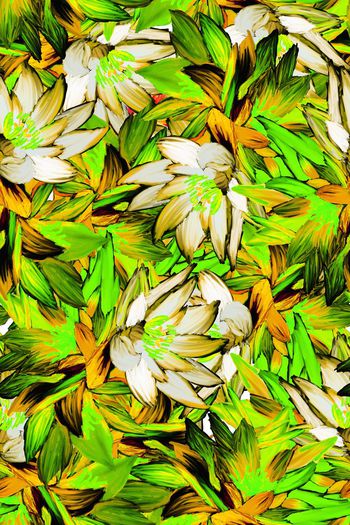 444285-xsh65sanya1-2