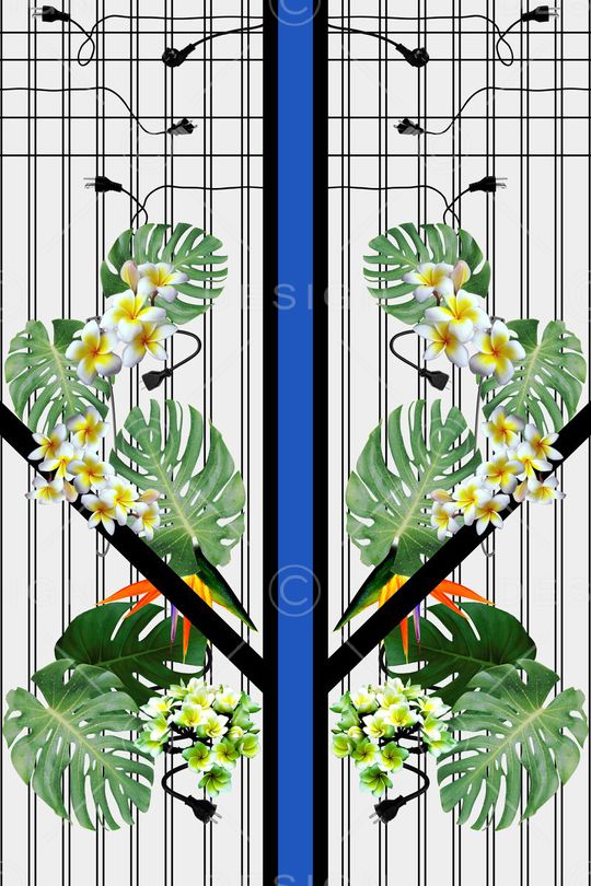 鸡蛋花印花华亿平台图片