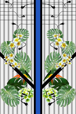 鸡蛋花印花华亿平台图片