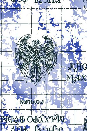 老鹰印花华亿平台图片