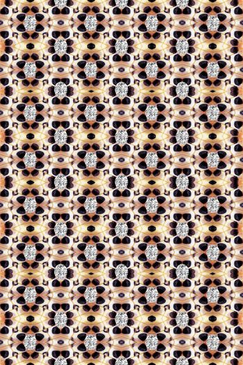 444335-珠宝密集排列，动物纹，男装华亿平台