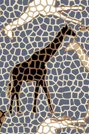 流行印花华亿平台图片