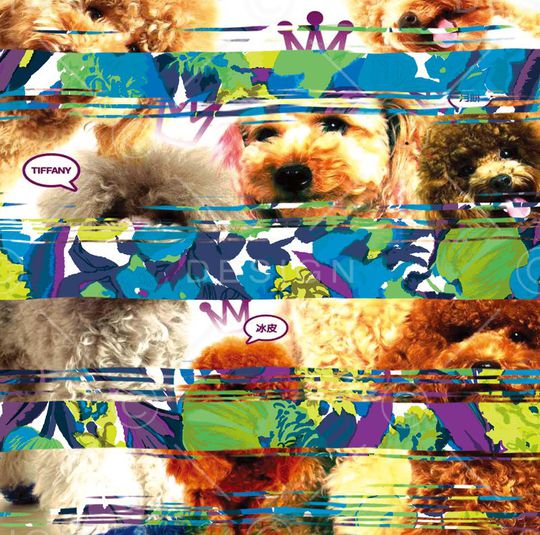 动物印花华亿平台图片