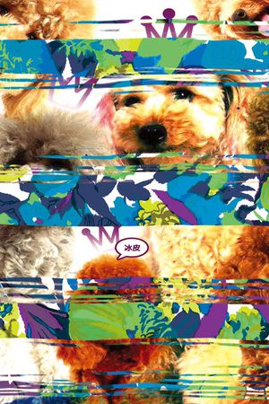 动物印花华亿平台图片