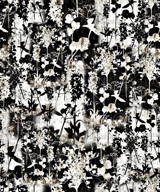 黑白印花华亿平台图片