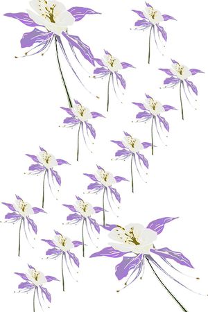 淡水色印花华亿平台图片