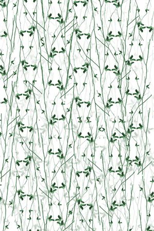 清新印花华亿平台图片