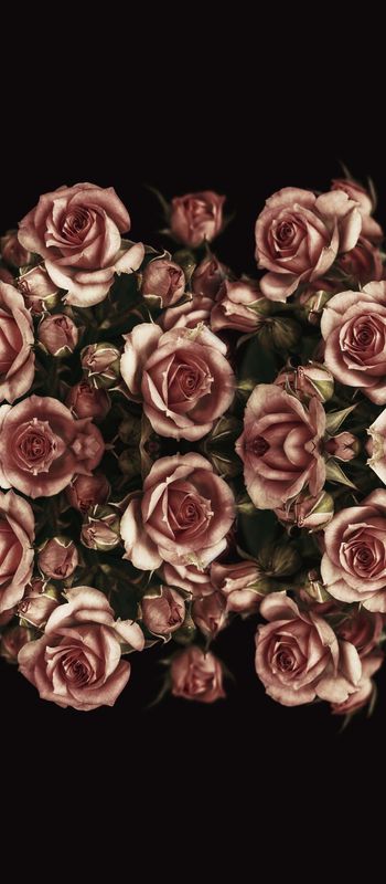 444693-复古玫瑰定位