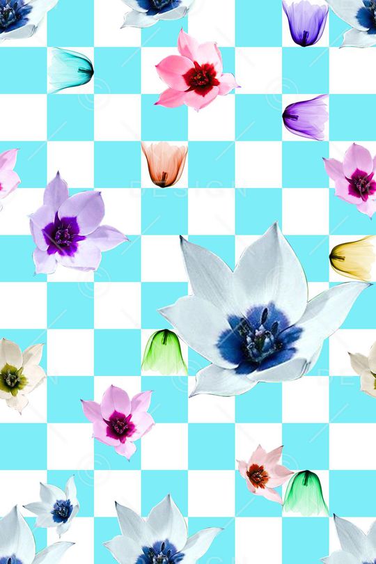 流行时尚印花华亿平台图片