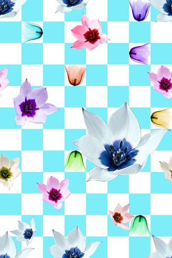 流行时尚印花华亿平台图片