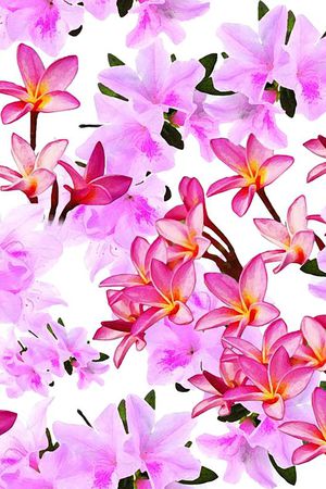 潮流印花华亿平台图片