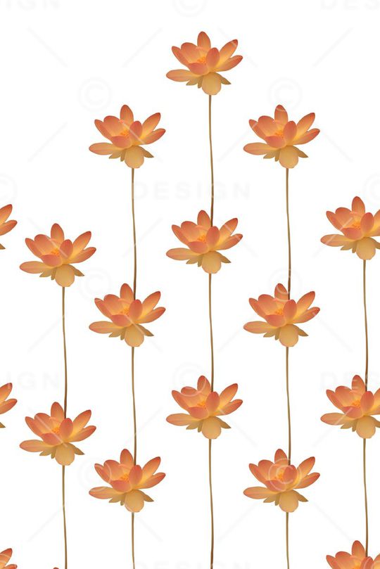 女装印花华亿平台图片