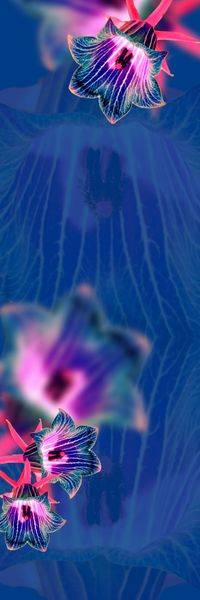 时尚印花华亿平台图片