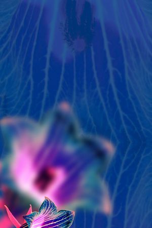 时尚印花华亿平台图片