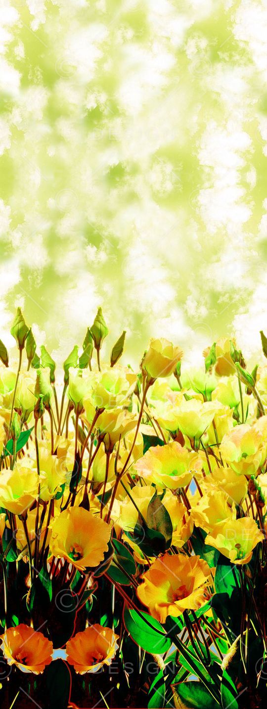 清新印花华亿平台图片