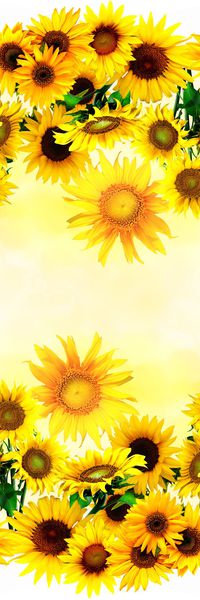 向日葵印花华亿平台图片