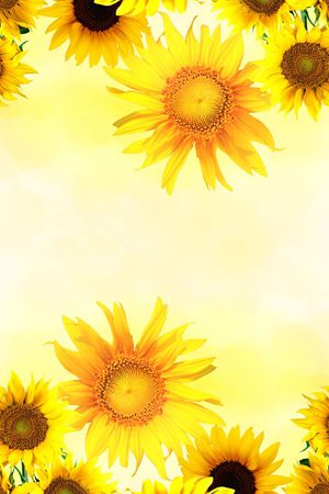 向日葵印花华亿平台图片