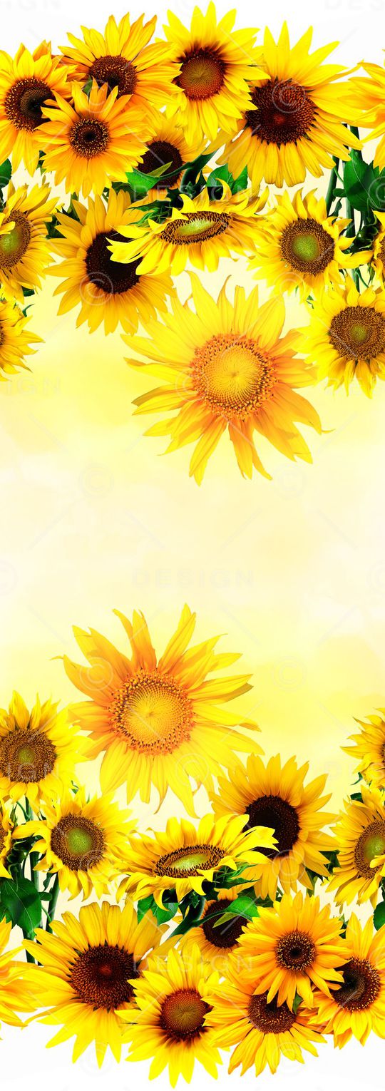 向日葵印花华亿平台图片