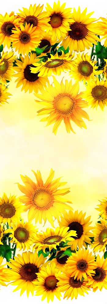 向日葵印花华亿平台图片