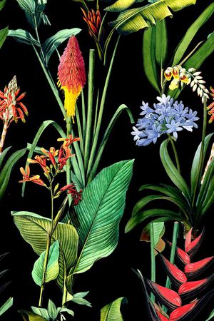 热带风印花华亿平台图片