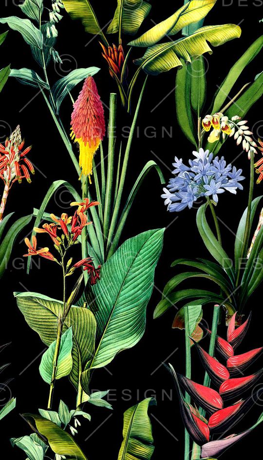 热带风印花华亿平台图片