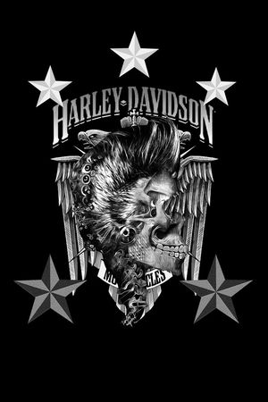 Philipp Plein印花华亿平台图片