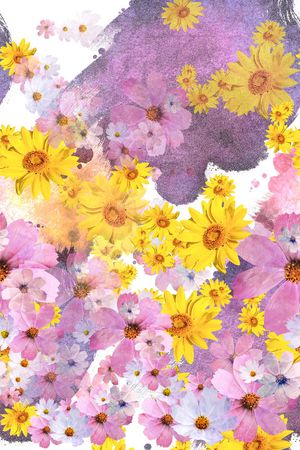 粉色印花华亿平台图片