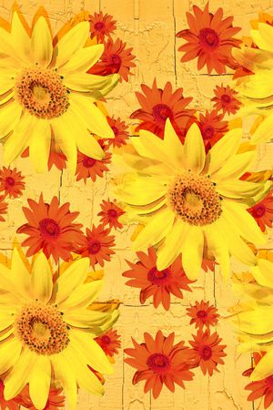 菊花印花华亿平台图片