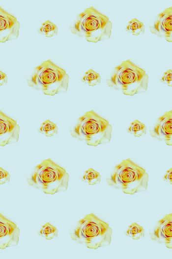 篮底印花华亿平台图片