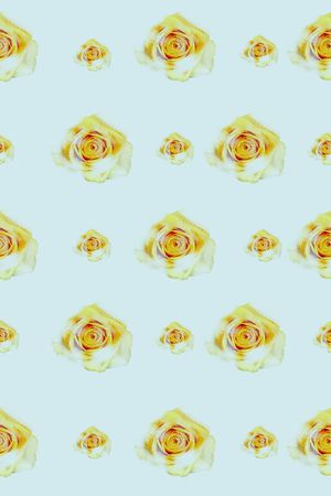 篮底印花华亿平台图片