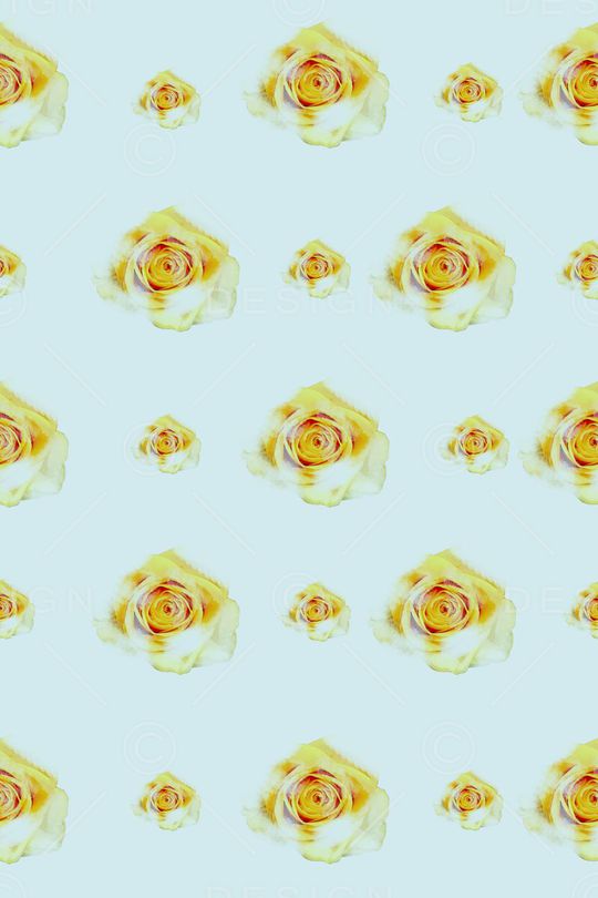 篮底印花华亿平台图片