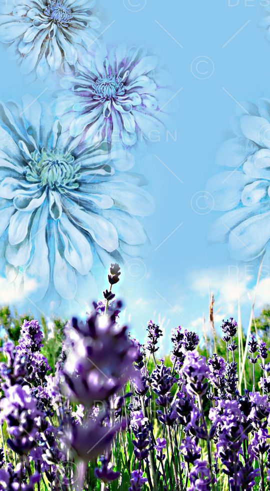 定位印花华亿平台图片