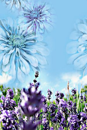 定位印花华亿平台图片