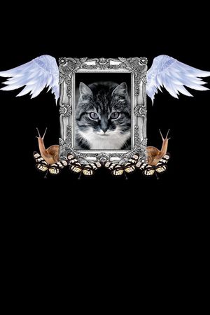 动物印花华亿平台图片