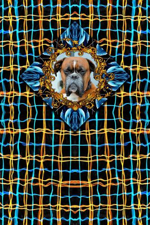 格子印花华亿平台图片