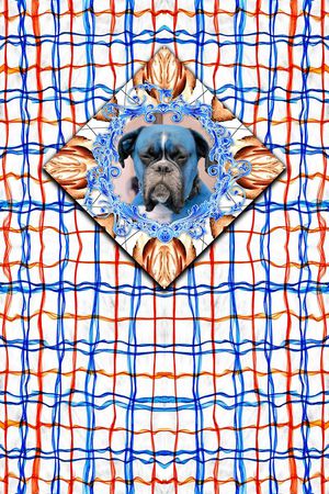 格子印花华亿平台图片