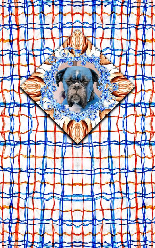 格子印花华亿平台图片