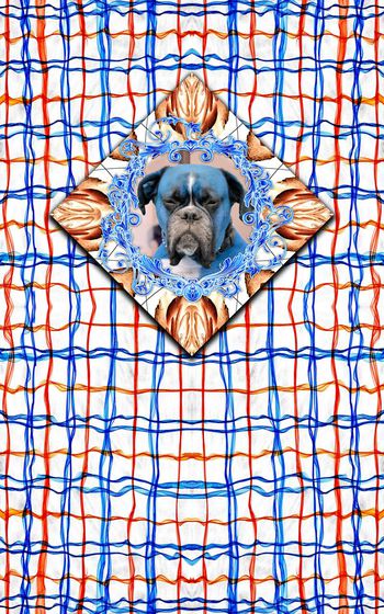 446128-炫色条纹格纹狗头潮流男装T恤卫衣胸