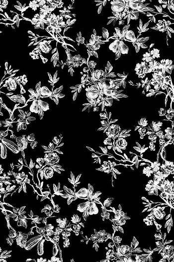 446170-古典欧式花卉黑白色调女装衬衫家纺内